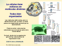 Partes del todo
