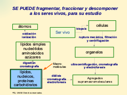 Fragmentando un ser vivo