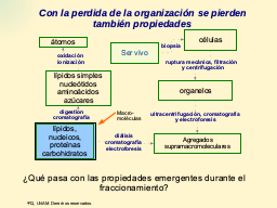 Pérdida de propiedades