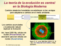 Evolución