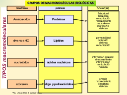 Grupos de Macromoléculas Biológicas