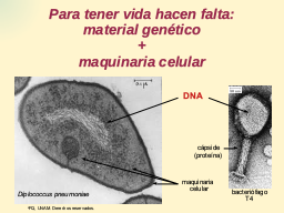 Maquinaria interpretativa