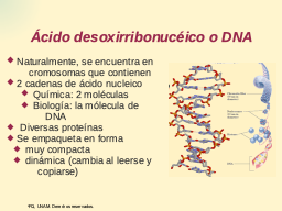 DNA características