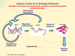 Dogma Central Biol. Mol.