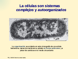 Propiedades de la vida