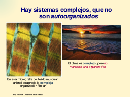 Complejidad