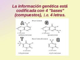 Las letras del genoma