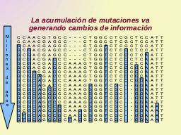 Acumulación de cambios