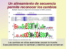 Conservación