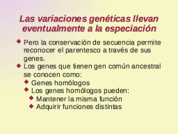 Genes homólogos