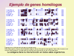 Homólogos, ejemplo
