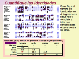 Slide 30