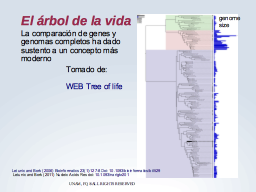 Árbol de la vida moderno