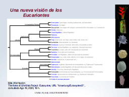 Nueva visión de Eukarya