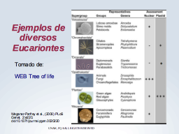 Ejemplos de Eucariontes