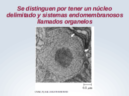 Marca distintiva de Eukarya