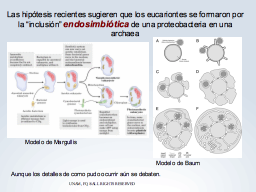 Origen endosimbionte de Eukarya