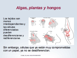 Diferenciación en hongos y plantas