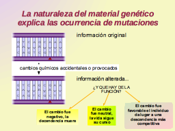 Slide 10