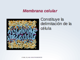Las membranas como delimitación