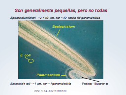 Rango de tamaños