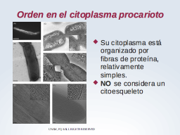 Fibras del citoplasma