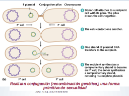 La conjugación