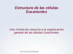 Estructura de células Eucariontes