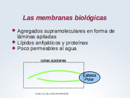 Membranas: agregados supramacromoleculares lipídicos