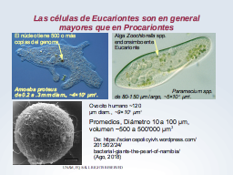 Variaciones en el tamaño