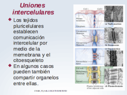 Uniones entre células en los tejidos