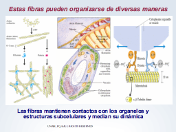 El citoesqueleto en la forma y el movimiento