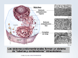 Los sistemas endomembranosos