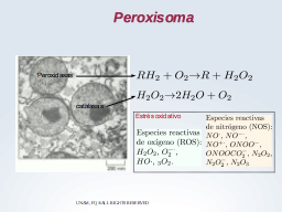 Peroxisomas y el estrés oxitaivo