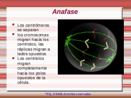 Anafase