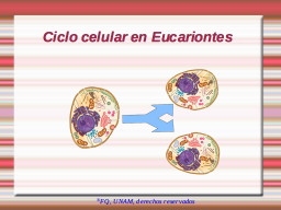 División en Eucariontes