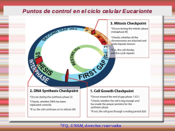 Punto de control