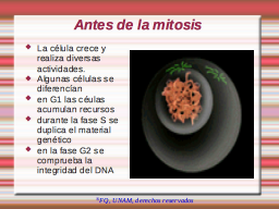 Interfase