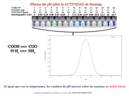 pH y actividad