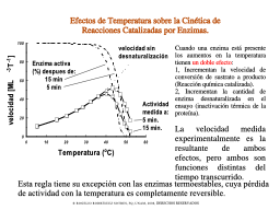 Efectos sobre la estabilidad ¿existe T óptima?