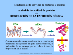 Nivel de la expresión génica