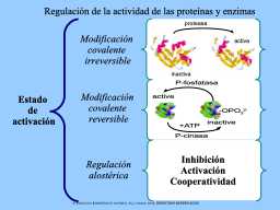 Nivel del estado de  activación 