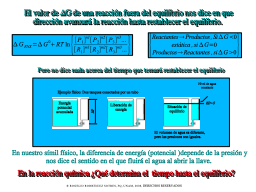 ¿En cuánto tiempo se llega al equilibrio?