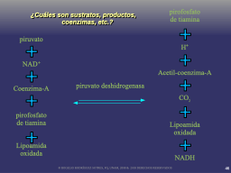 Ejemplo de coenzimas