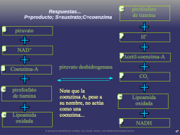 Ejemplo de coenzimas... respuestas