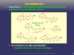 Especificidad