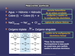 Slide 7