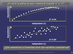 Relaciones lineales e incertidumbre estocástica