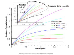 Progreso a tiempos más largos