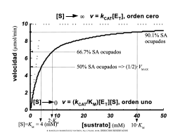 Isoterma de saturación por el sustrato